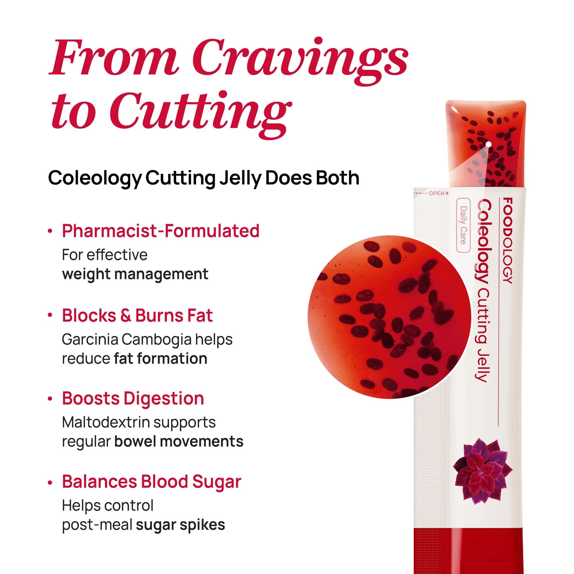 Coleology Cutting Jelly 3
