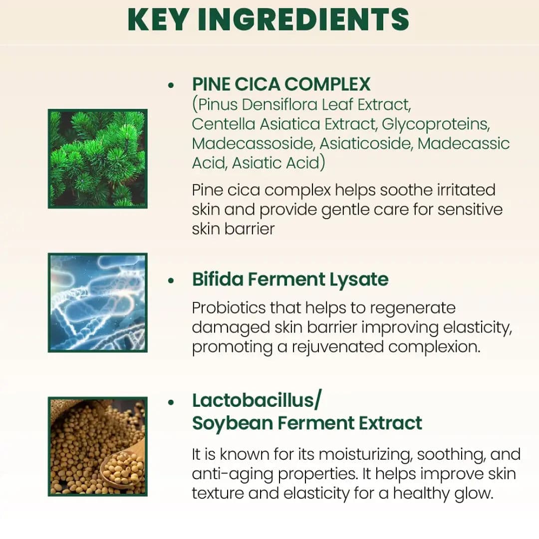 SEOUL 1988 Cleansing Oil : Pine Cica 1% + Probiotics 6