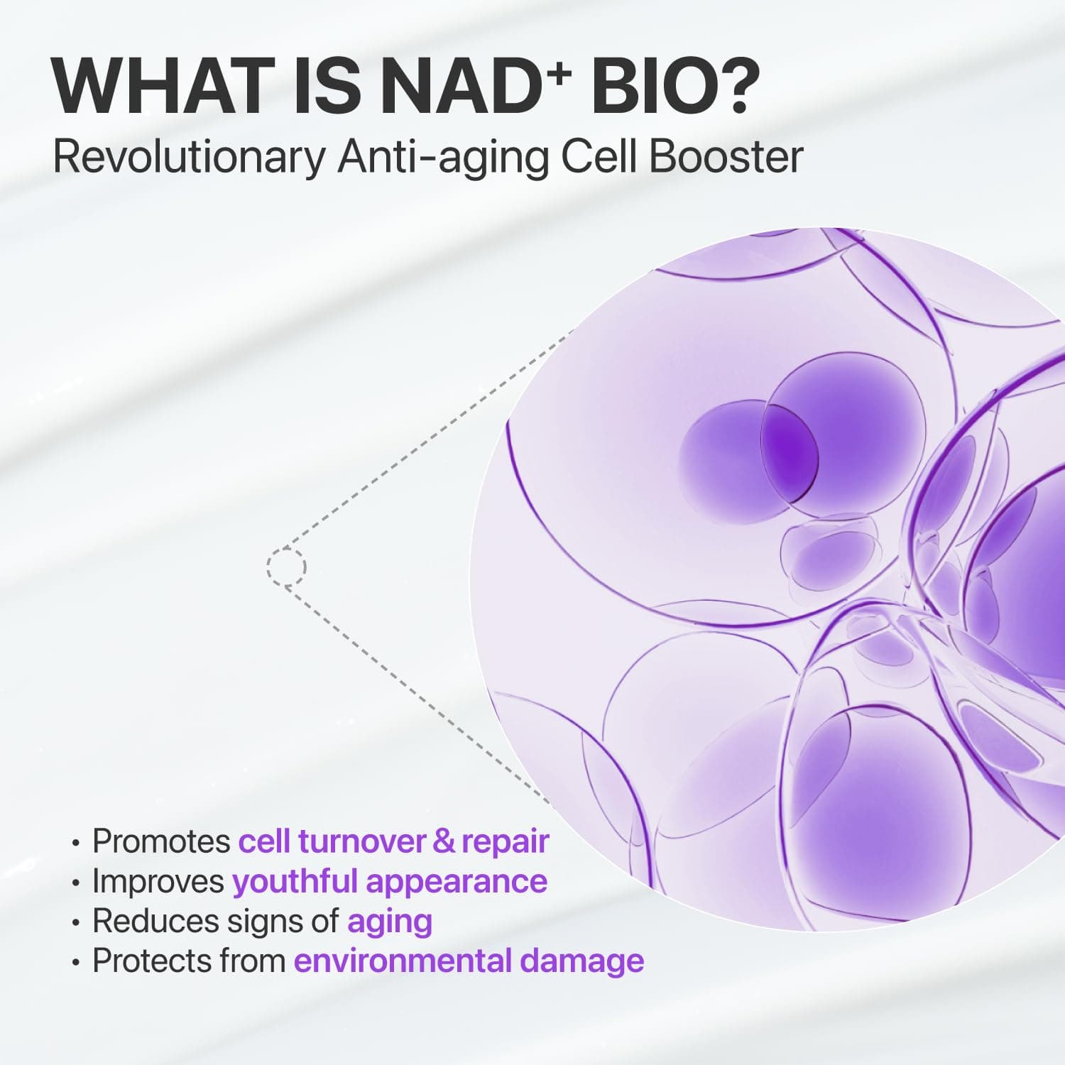 No.9 NAD Bio Lifting-sil Essence 6