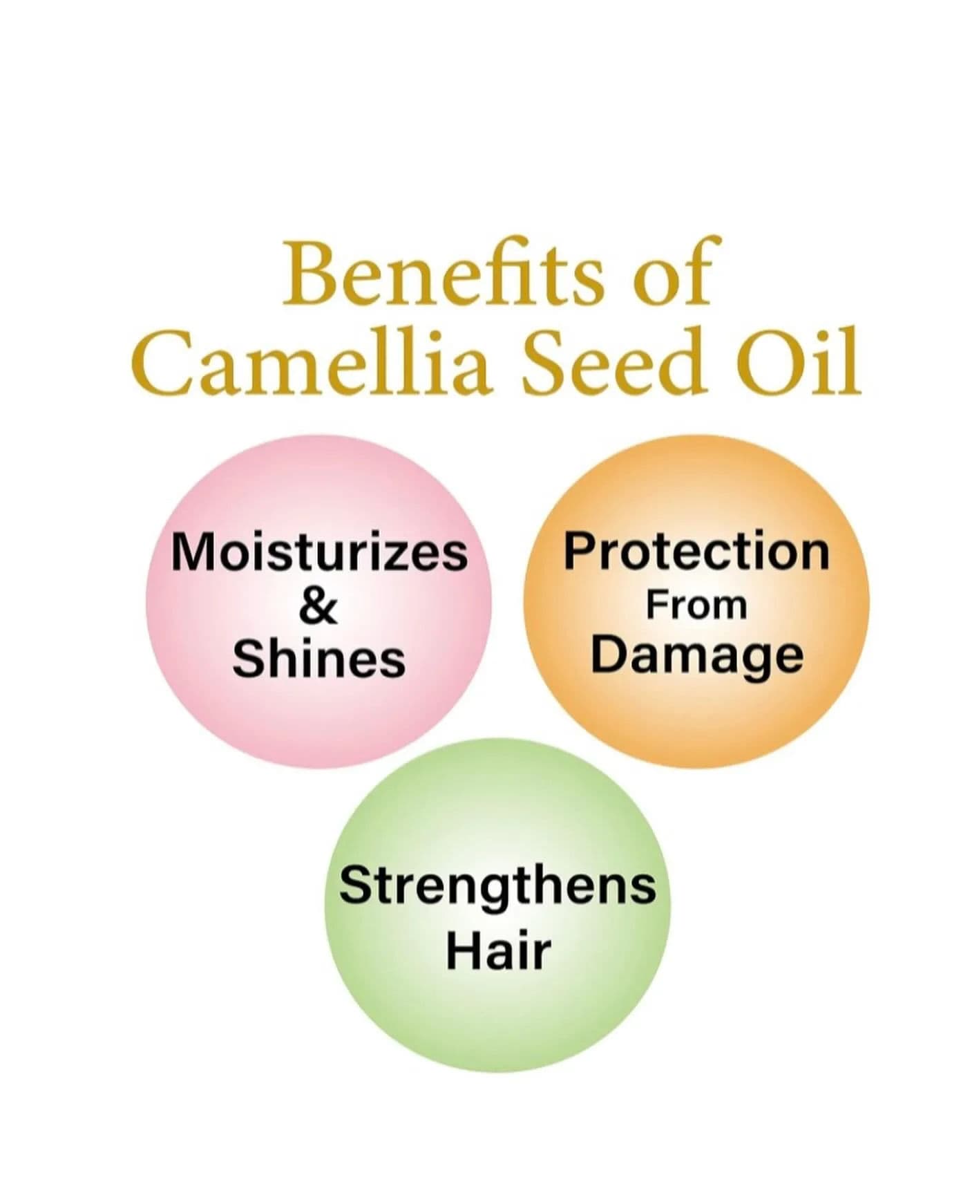 Camellia Oil 5