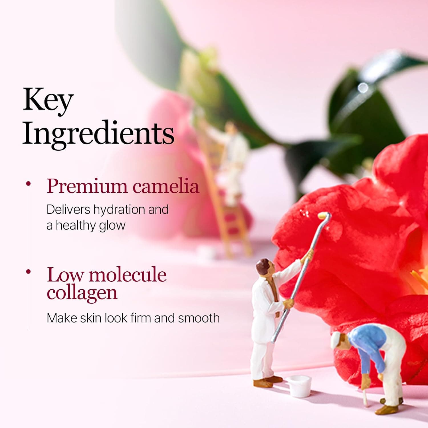 Camellia Deep Collagen Firming Gel Mask 6