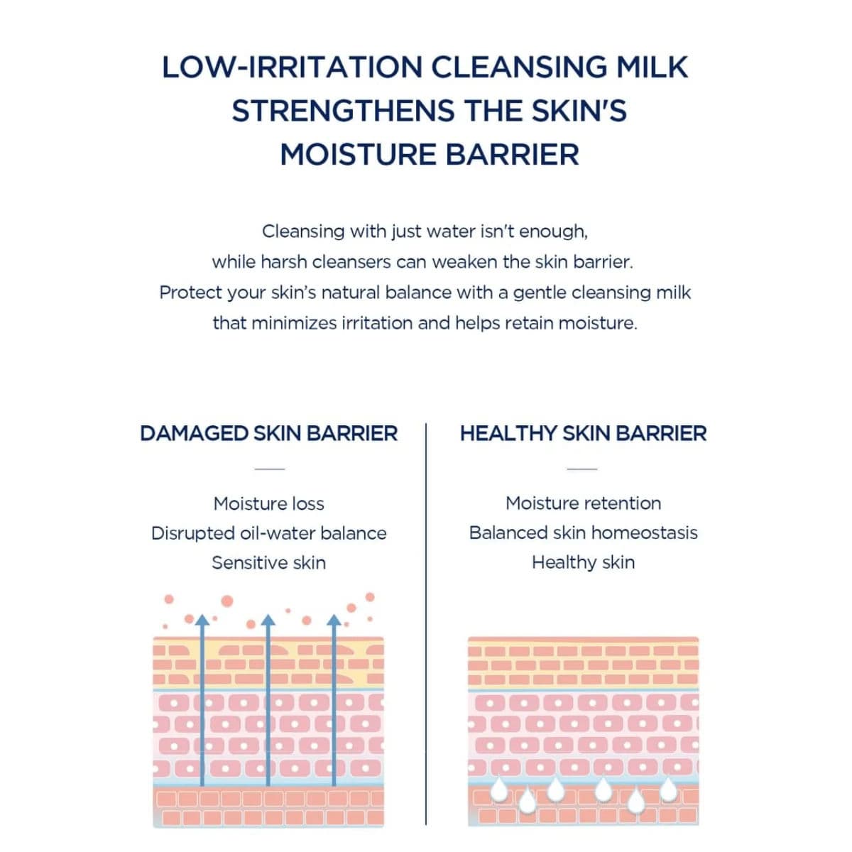 Madagascar Centella Hyalu-Cica Gentle Cleansing Milk 2