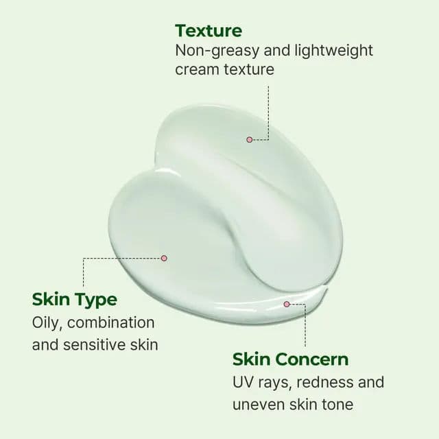 Balanceful Cica Tone Up Sun Cream 2